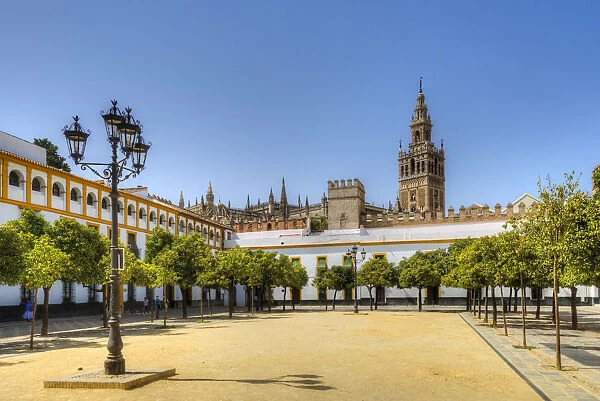 Court of Banderas with the Giralda tower of the Cathedral, UNESCO World Heritage Site