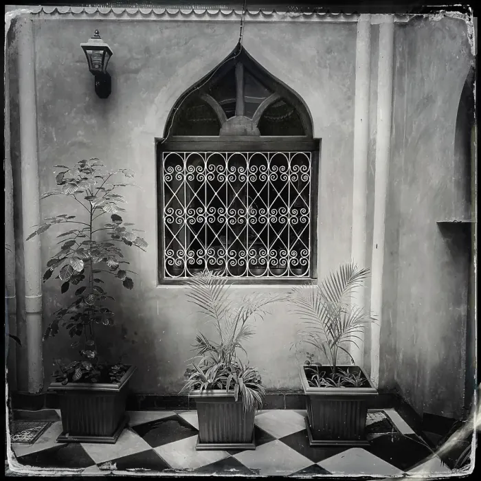 Framed Print : Courtyard with ornate window, Stonetown, Zanzibar, Tanzania Framed Print : Courtyard with ornate window, Stonetown, Zanzibar, Tanzania