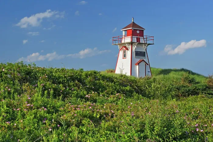 Framed Print : Covehead Harbour Lighthouse and roses (Rosa sp.) on sand dunes Covehead Harbour, Prince Edward Island, Canada Framed Print : Covehead Harbour Lighthouse and roses (Rosa sp.) on sand dunes Covehead Harbour, Prince Edward Island, Canada