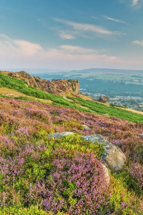 Framed Print : Cow & Calf, Ilkley Moor, West Yorkshire, England Framed Print : Cow & Calf, Ilkley Moor, West Yorkshire, England