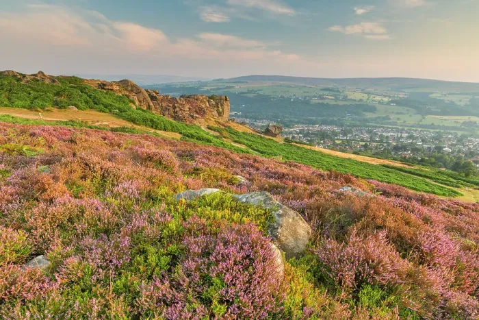 Framed Print : Cow & Calf Rocks on Ilkley Moor, West Yorkshire, England Framed Print : Cow & Calf Rocks on Ilkley Moor, West Yorkshire, England