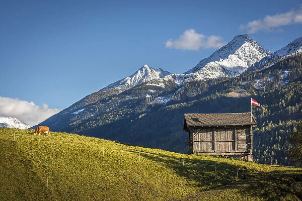 Cow pasture and hut in the Virgen valley near Obermauern, East Tyrol, Austria