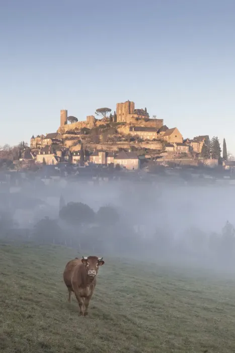 Framed Print : A cow stands in front of the hilltop village of Turenne surrounded by mist, Correze