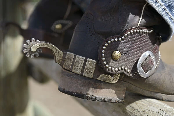 Cowboy boots with spurs, Rafter Six Ranch, Exshaw, Calgary, Alberta, Canada, North