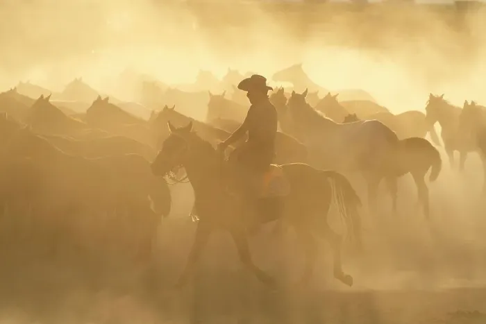 Framed Print : Cowboy herding a herd of Yilki horses sunset, Hurmetci, Hacilar District, Kayseri Province, Cappadocia, Central Anatolia Region, Turkey Framed Print : Cowboy herding a herd of Yilki horses sunset, Hurmetci, Hacilar District, Kayseri Province, Cappadocia, Central Anatolia Region, Turkey