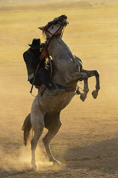 Cowboy prancing on horse at sunset, Hurmetci, Hacilar District, Kayseri Province, Cappadocia, Central Anatolia Region, Turkey