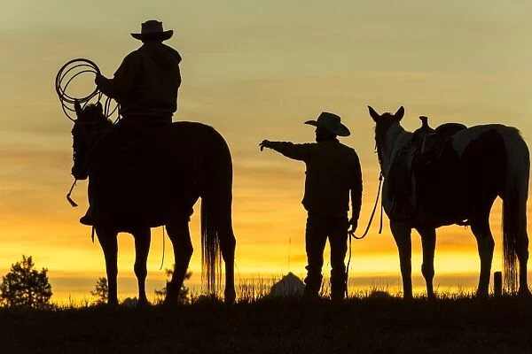 Cowboys & horses in silhouette at dawn on ranch, British Columbia, Canada