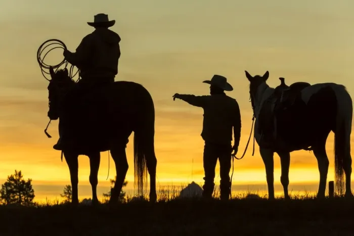 Framed Print : Cowboys & horses in silhouette at dawn on ranch, British Columbia, Canada Framed Print : Cowboys & horses in silhouette at dawn on ranch, British Columbia, Canada
