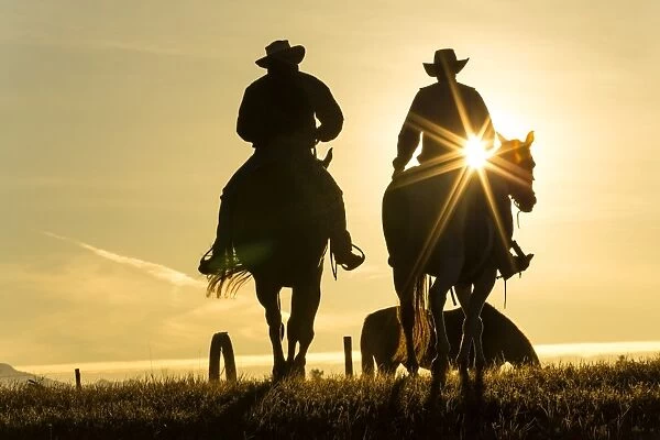 Cowboys on horses, sunrise, British Columbia, Canada