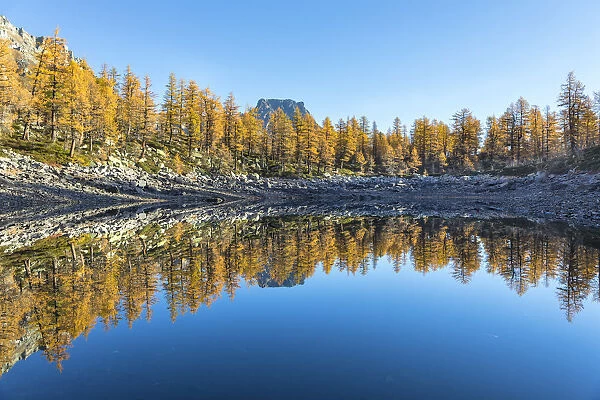 The Crampiolo Peak is reflected in the Nero Lake in autumn (Buscagna Valley, Alpe Devero