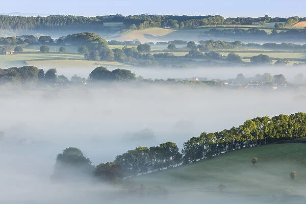 The Cranborne Chase from Charlton Down, Wiltshire, England