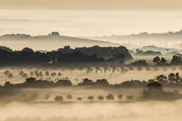 The Cranborne Chase from Charlton Down, Wiltshire, England