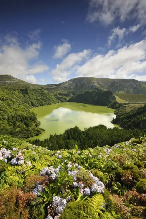 Framed Print : Crater lake with hydrangeas in the foreground, Caldeira Funda. Azores islands, Portugal Framed Print : Crater lake with hydrangeas in the foreground, Caldeira Funda. Azores islands, Portugal