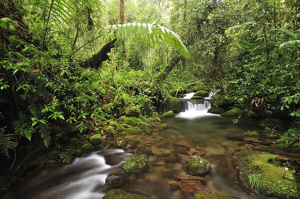 Creek at Parque Nacional de Amistad near Boquete, Panama, Central America