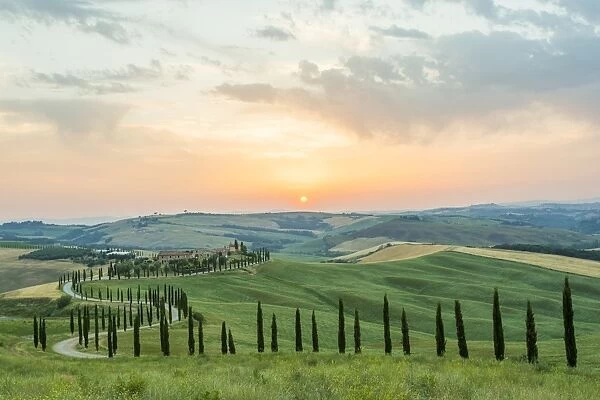 Crete Senesi, Tuscany, Italy. A lonely farmhouse with cypress and olive trees, rolling hills