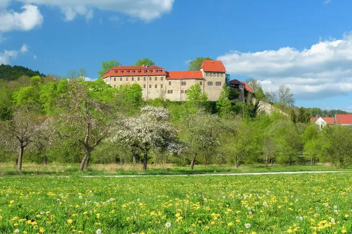 Framed Print : Creuzburg Castle in the Werra valley, in front of blooming orchard meadow, Creuzburg, Thuringia, Germany Framed Print : Creuzburg Castle in the Werra valley, in front of blooming orchard meadow, Creuzburg, Thuringia, Germany