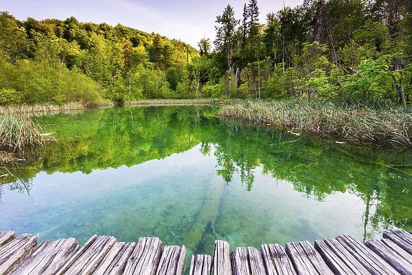 Croatia, Dalmatia, Karlova, Plitvice Lakes National Park, High Lakes