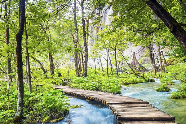 Croatia, Dalmatia, Plitvice lakes national parkk. boardwalk through the high lakes