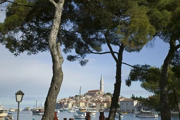 Croatia, Istria, Rovinj, harbour & Cathedral of St