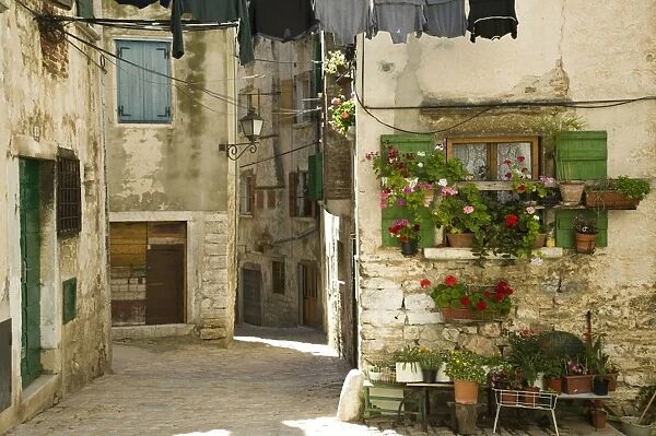 Croatia, Istria, Rovinj, old town