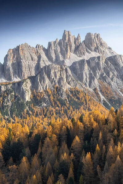 The Croda da Lago and Lastoi de Formin bathed in the late afternoon light, with endless larches forests in the valley. Dolomites, Italy