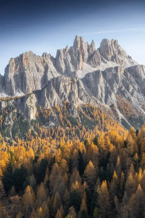 Framed Print : The Croda da Lago and Lastoi de Formin bathed in the late afternoon light, with endless larches forests in the valley. Dolomites, Italy Framed Print : The Croda da Lago and Lastoi de Formin bathed in the late afternoon light, with endless larches forests in the valley. Dolomites, Italy