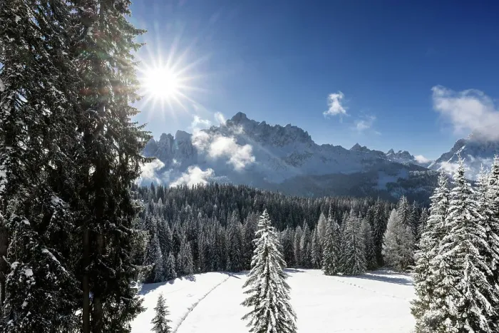 Framed Print : Croda Rossa group from the forest of Biotopo Monte Covolo after a snowfall. Sesto  /  Sexten, Bolzano province, South Tyrol, Italy Europe