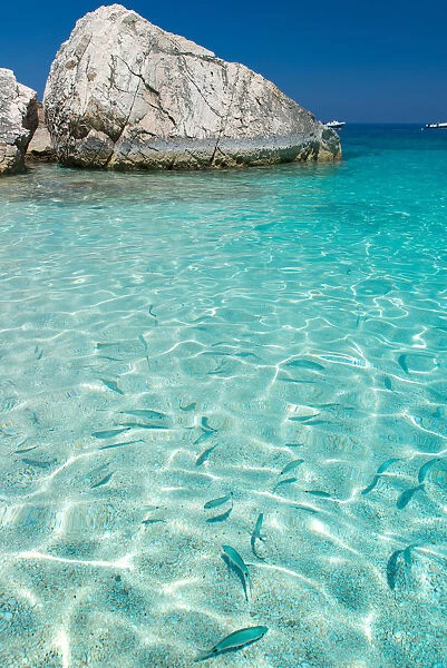 Crystalline water in Cala Mariolu beach, Baunei, Ogliastra province, Sardinia, Italy