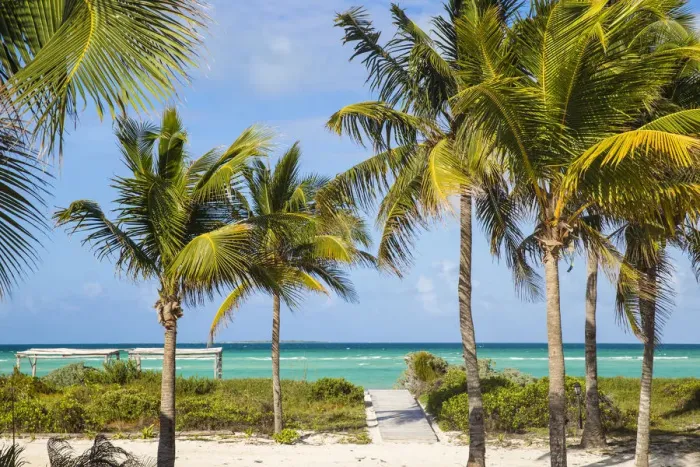 Framed Print : Cuba, Jardines del Rey, Cayo Guillermo, Playa El Paso, Palm trees in gardens of