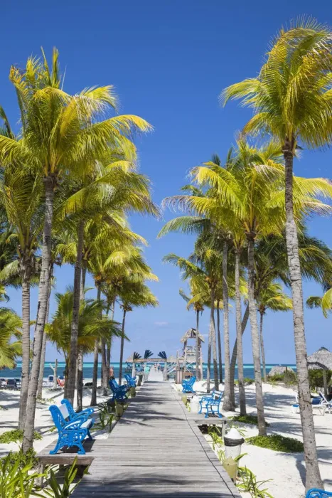Framed Print : Cuba, Jardines del Rey, Cayo Guillermo, Playa El Paso, Melia Hotel, Palm lined wooden Framed Print : Cuba, Jardines del Rey, Cayo Guillermo, Playa El Paso, Melia Hotel, Palm lined wooden