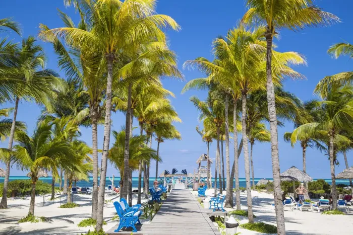 Framed Print : Cuba, Jardines del Rey, Cayo Guillermo, Playa El Paso, Melia Hotel, Palm lined wooden Framed Print : Cuba, Jardines del Rey, Cayo Guillermo, Playa El Paso, Melia Hotel, Palm lined wooden