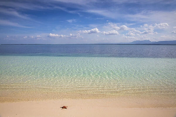 Cuba, Pinar del Rio Province, Cayo Levisa, Starfish on white sand beach