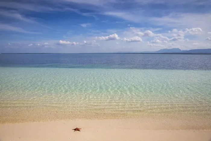 Framed Print : Cuba, Pinar del Rio Province, Cayo Levisa, Starfish on white sand beach