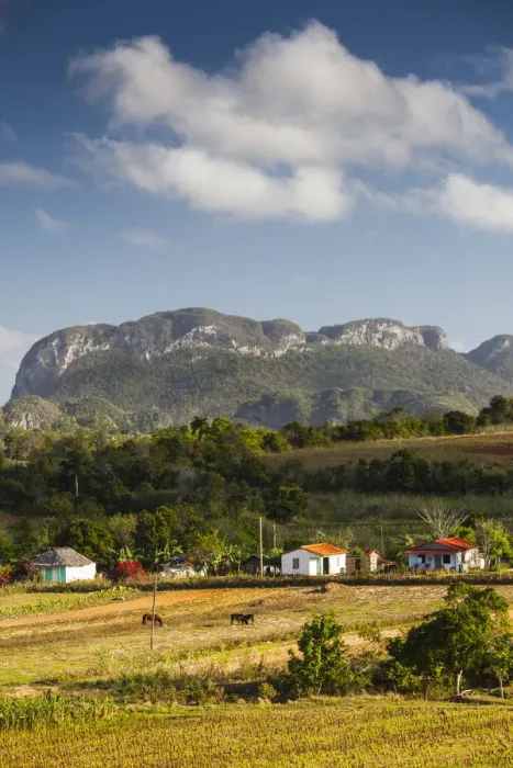 Framed Print : Cuba, Pinar del Rio Province, Vinales, Vinales Valley Framed Print : Cuba, Pinar del Rio Province, Vinales, Vinales Valley