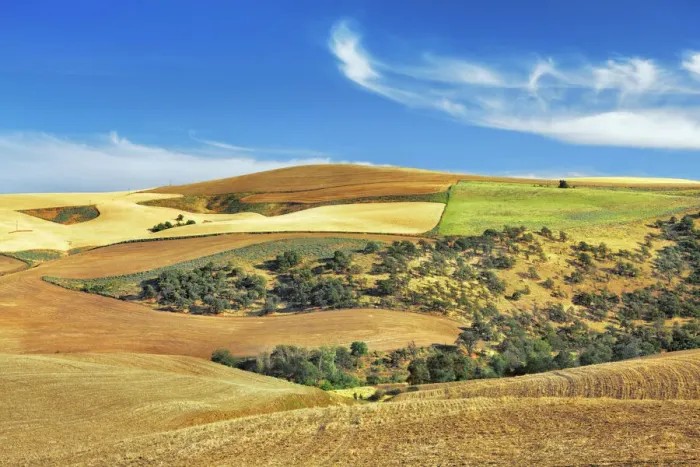 Framed Print : Cultural landscape with corn fields - USA, Oregon, Sherman, The Dalles, southwest of Framed Print : Cultural landscape with corn fields - USA, Oregon, Sherman, The Dalles, southwest of