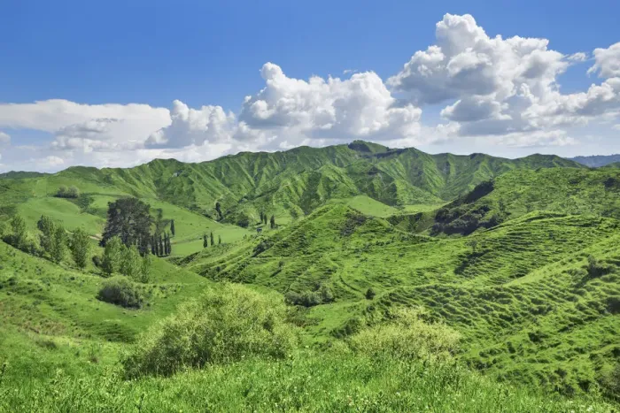 Framed Print : Cultural landscape at Forgotten World Highway - New Zealand, North Island