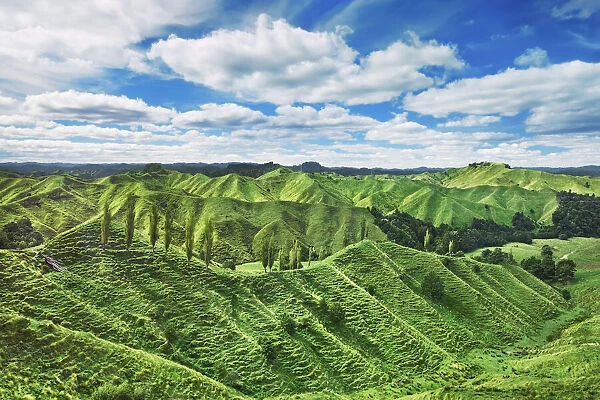 Cultural landscape - New Zealand, North Island, Manawatu-Wanganui, Ruapehu