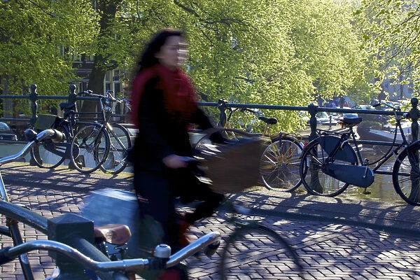 Cyclist, Amsterdam, Netherlands