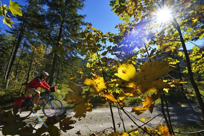 Framed Print : Cyclist on bike path between Laubau and Mittersee, Chiemgau, Bavaria, Germany, MR Framed Print : Cyclist on bike path between Laubau and Mittersee, Chiemgau, Bavaria, Germany, MR