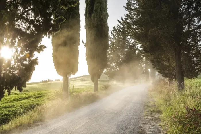 Framed Print : Cyclist on dirt road at sunset, Tuscany, Italy Framed Print : Cyclist on dirt road at sunset, Tuscany, Italy