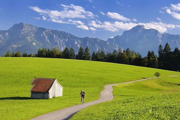 cyclists against Ammergauer Alps, Allgaeu, Alps, Bavaria, Germany