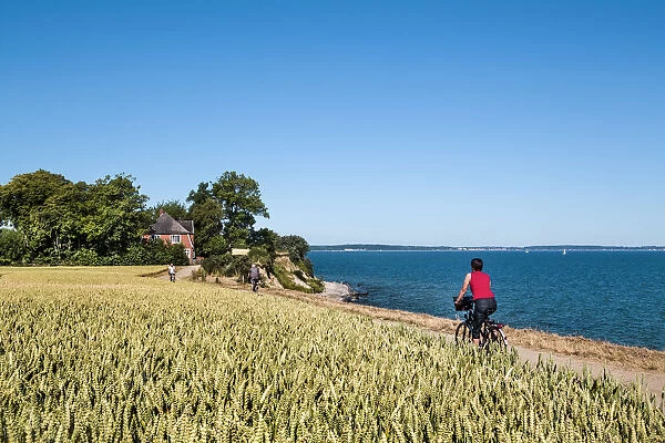 Cyclists at cliff Brodtener Ufer, Niendorf, Baltic coast, Schleswig-Holstein, Germany