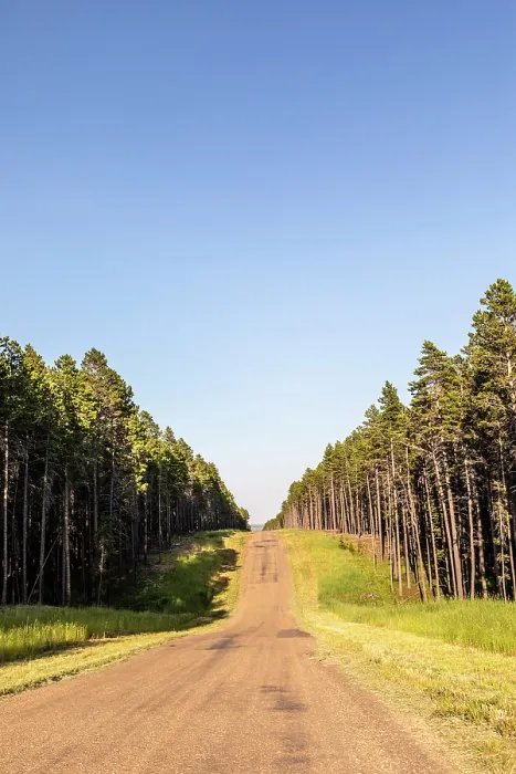 Framed Print : Cypress Hills Interprovincial Park, Saskatchewan, Canada, North America Framed Print : Cypress Hills Interprovincial Park, Saskatchewan, Canada, North America