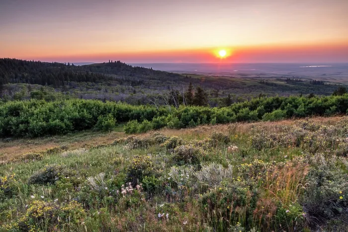 Framed Print : Cypress Hills Interprovincial Park, Saskatchewan, Canada, North America