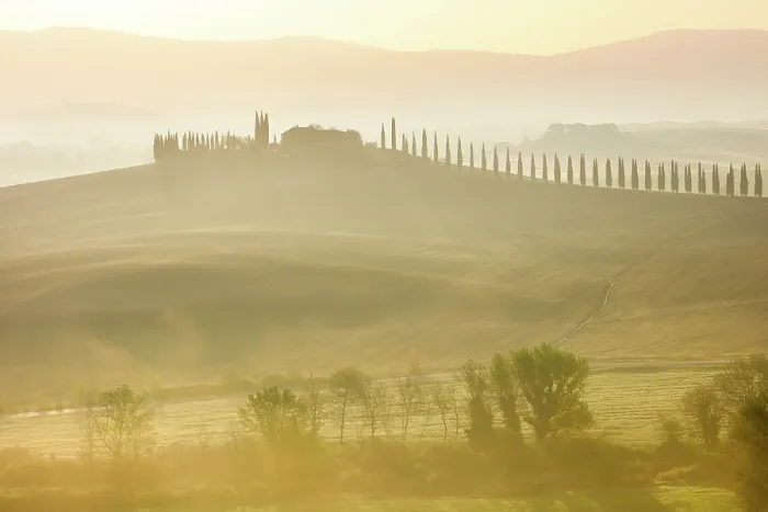 Framed Print : Cypress trees and Poggio Covili in the mist at dawn, Val d'Orcia, near San Quirico d'Orcia, Tuscany, Italy Framed Print : Cypress trees and Poggio Covili in the mist at dawn, Val d'Orcia, near San Quirico d'Orcia, Tuscany, Italy