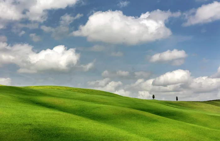 Framed Print : Cypress trees and rolling green fields, Val d'Orcia, near San Quirico d'Orcia, Tuscany, Italy Framed Print : Cypress trees and rolling green fields, Val d'Orcia, near San Quirico d'Orcia, Tuscany, Italy