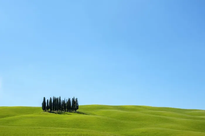 Framed Print : Cypress trees and Tuscan landscape in Val d Orcia, San Quirico d Orcia, Tuscany Framed Print : Cypress trees and Tuscan landscape in Val d Orcia, San Quirico d Orcia, Tuscany