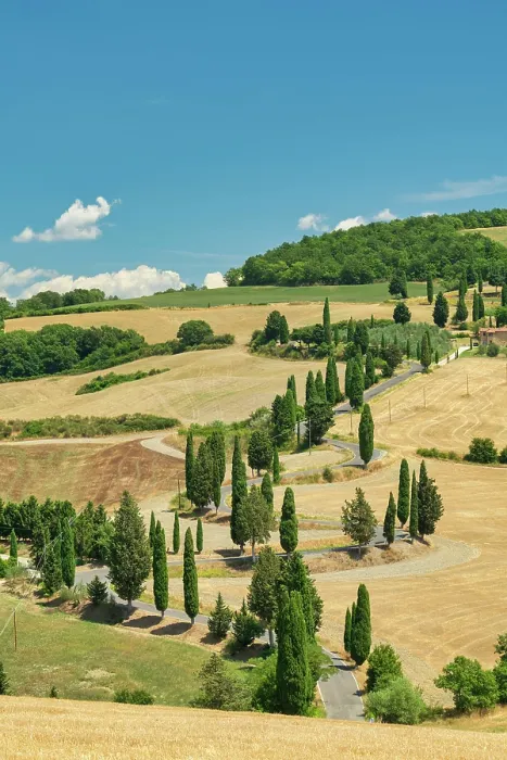 Framed Print : Cypresses Road, Monticchiello, Tuscany, Italy, Europe Framed Print : Cypresses Road, Monticchiello, Tuscany, Italy, Europe