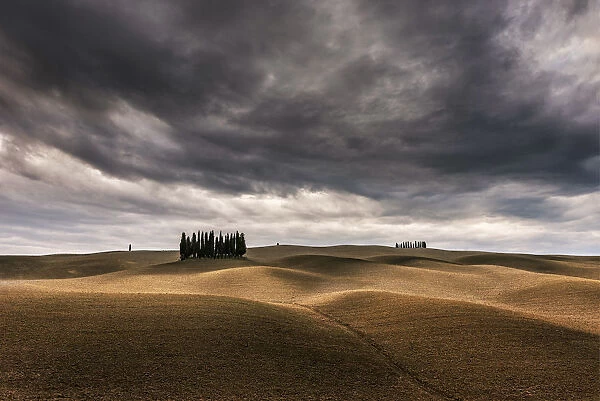 Cypresses and rolling hills near Montalcino, Val d Orcia, Tuscany, Italy