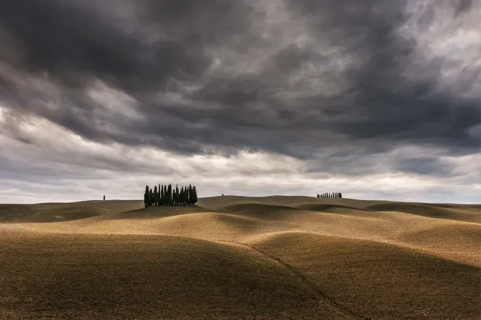 Framed Print : Cypresses and rolling hills near Montalcino, Val d Orcia, Tuscany, Italy Framed Print : Cypresses and rolling hills near Montalcino, Val d Orcia, Tuscany, Italy